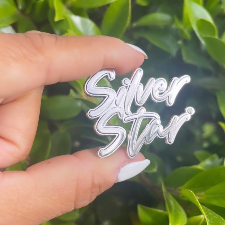 Silver Star Lapel pin