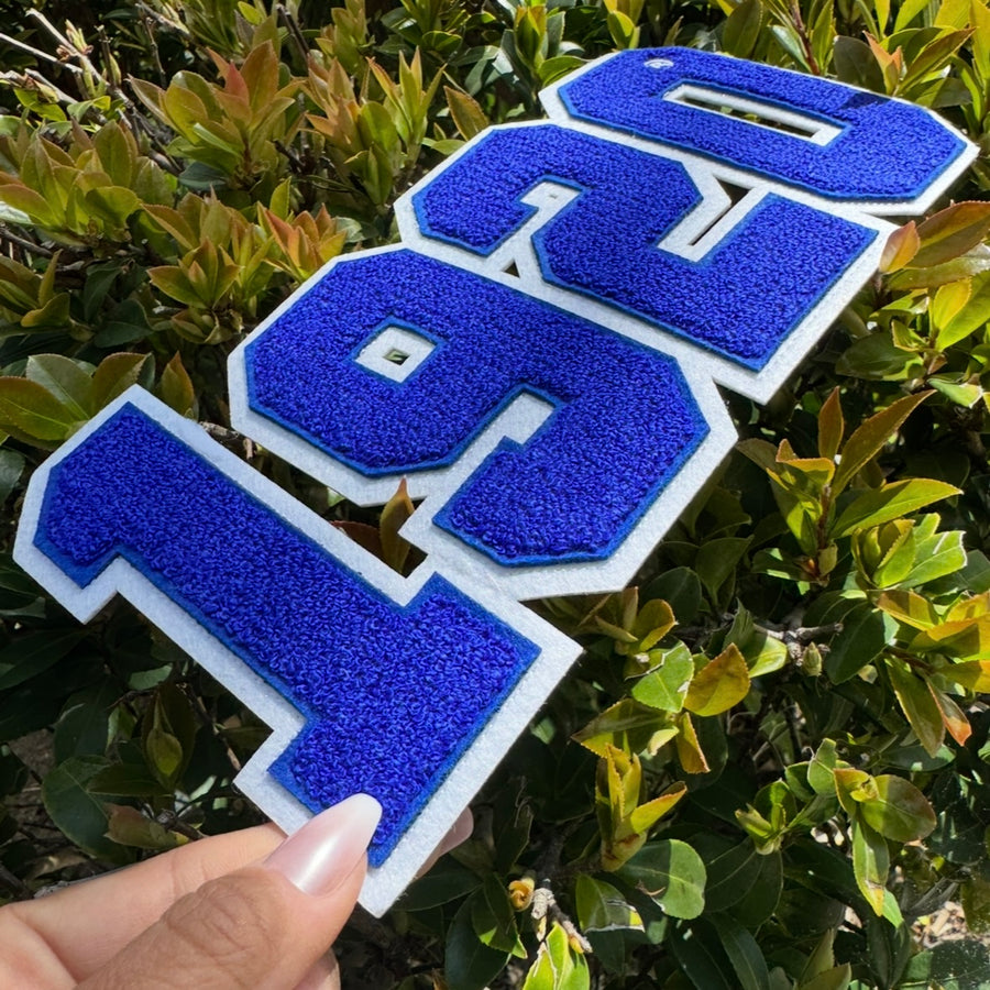 Zeta Phi Beta 1920 Founding Year Chenille Patch